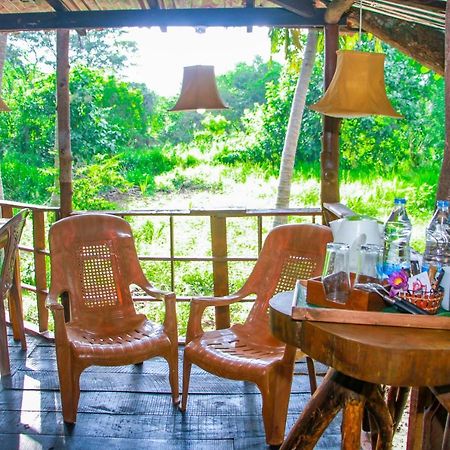 Experience The Comforts Of An Amazing Treehouseシギリヤ エクステリア 写真