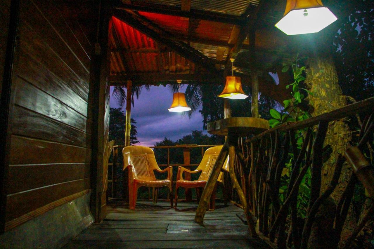 Experience The Comforts Of An Amazing Treehouseシギリヤ エクステリア 写真