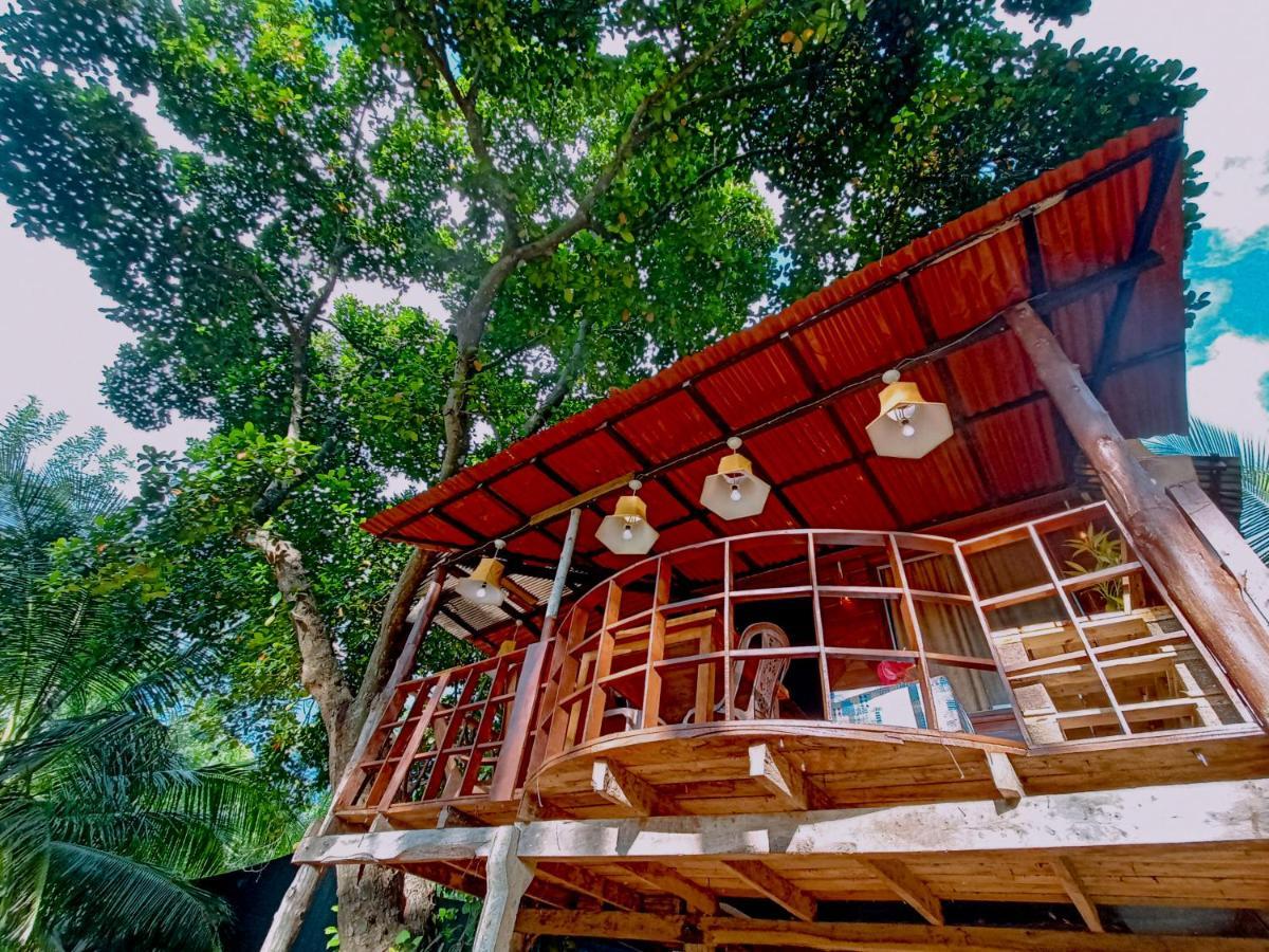Experience The Comforts Of An Amazing Treehouseシギリヤ エクステリア 写真