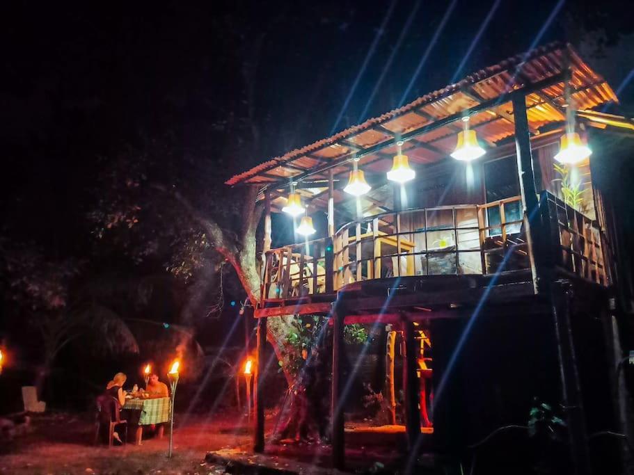 Experience The Comforts Of An Amazing Treehouseシギリヤ エクステリア 写真