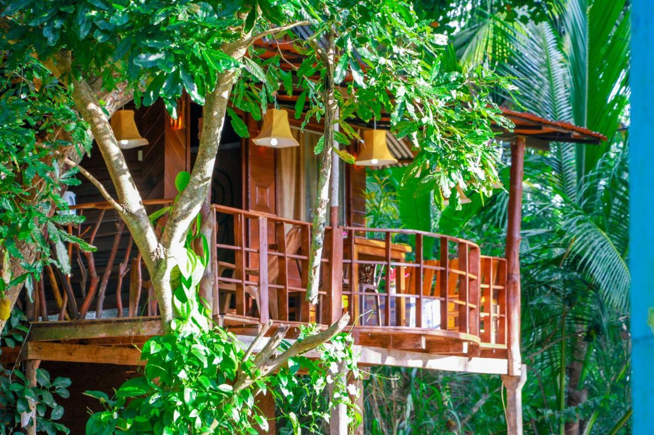 Experience The Comforts Of An Amazing Treehouseシギリヤ エクステリア 写真