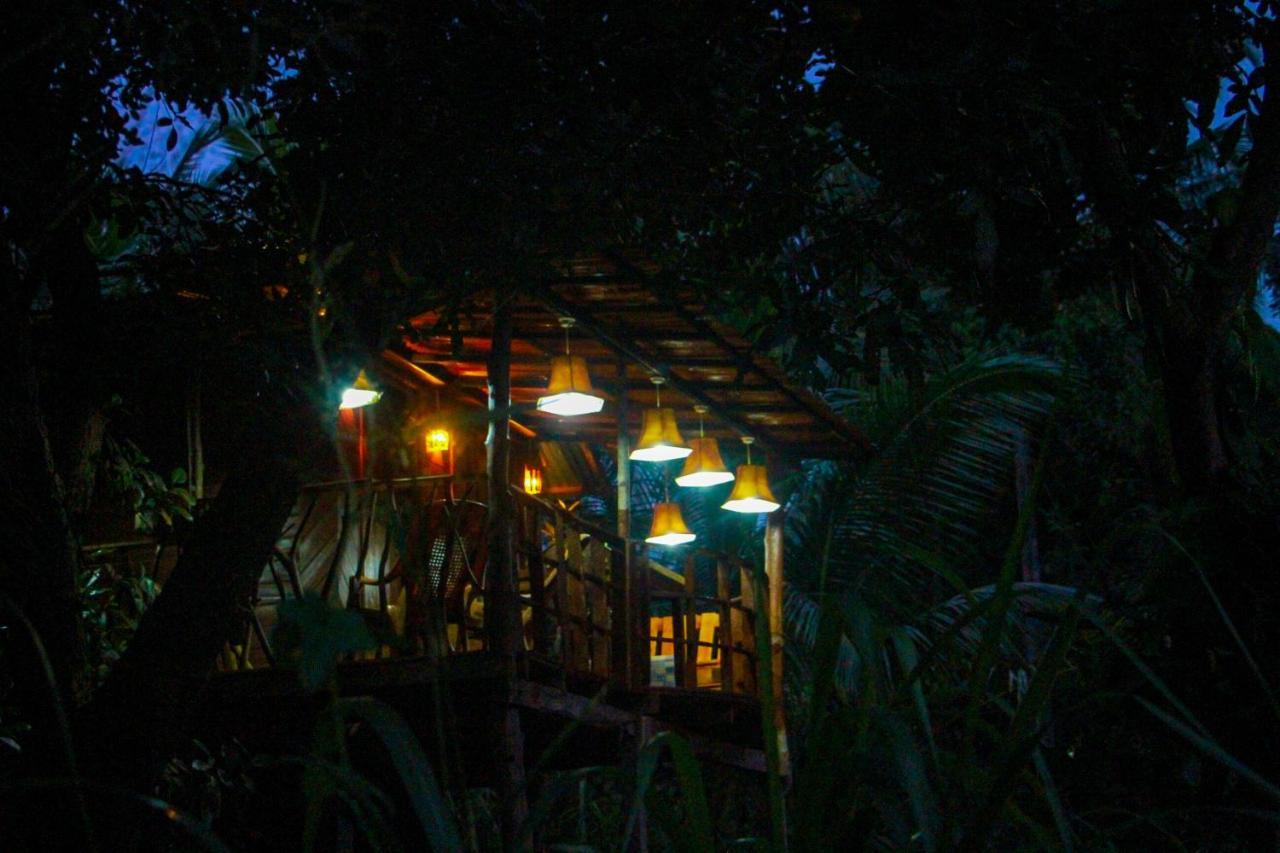 Experience The Comforts Of An Amazing Treehouseシギリヤ エクステリア 写真