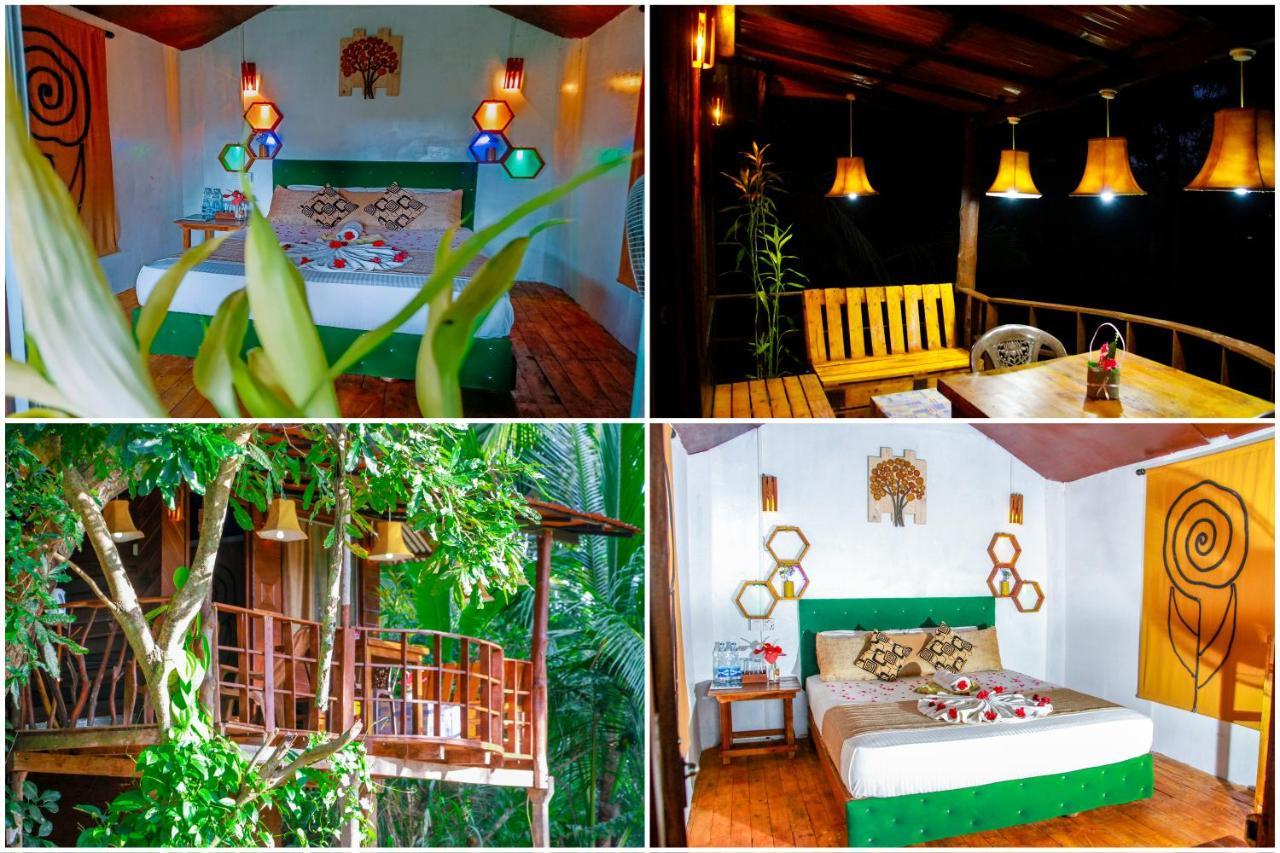Experience The Comforts Of An Amazing Treehouseシギリヤ エクステリア 写真