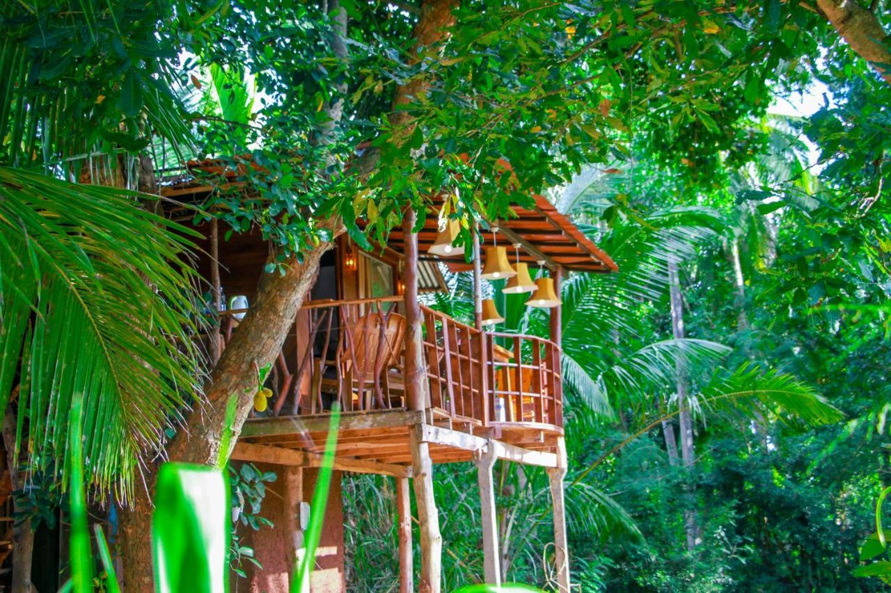 Experience The Comforts Of An Amazing Treehouseシギリヤ エクステリア 写真